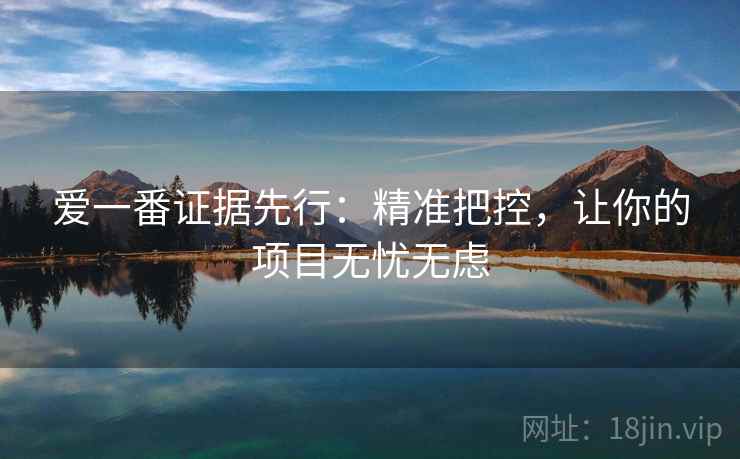 爱一番证据先行：精准把控，让你的项目无忧无虑  第2张