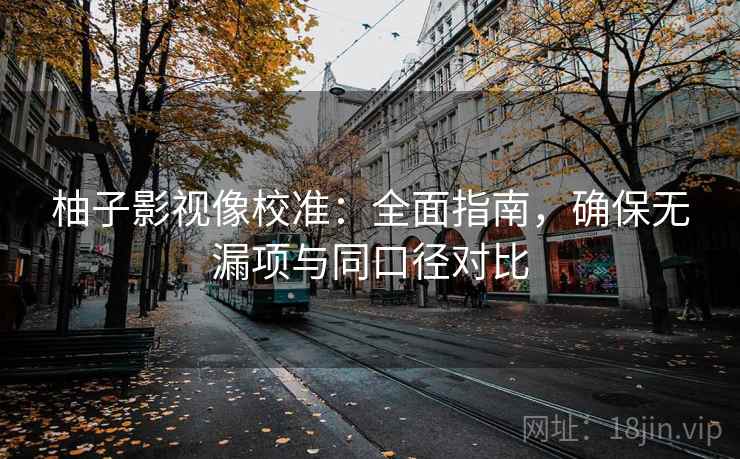 柚子影视像校准：全面指南，确保无漏项与同口径对比