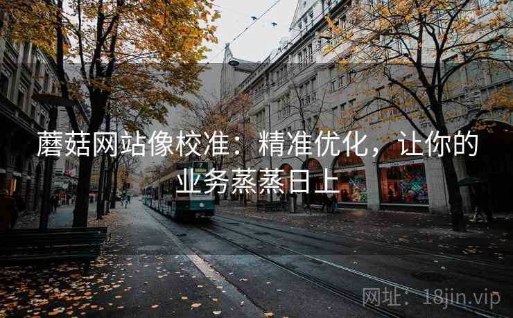 蘑菇网站像校准：精准优化，让你的业务蒸蒸日上